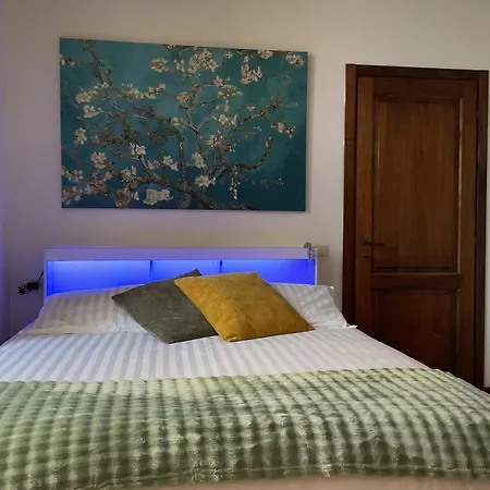 Tourist 34537 In The Historic Center Apartment